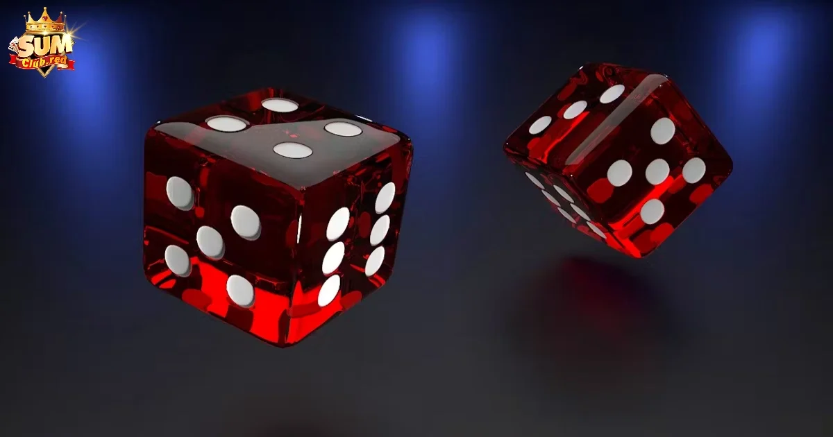 Cách Chơi Xí Ngầu SUMCLUB – Cược Một Phát Là Trúng Ngay 4 Các cửa cược phổ biến trong Xí Ngầu