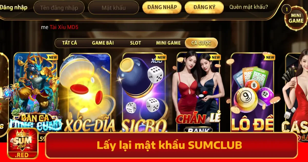 Hướng Dẫn Lấy Lại Mật Khẩu SUMCLUB Nhanh Nhất Năm 2025